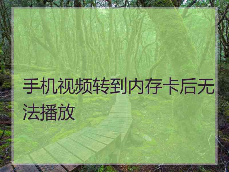 手机视频转到内存卡后无法播放