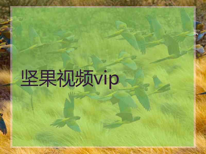 坚果视频vip