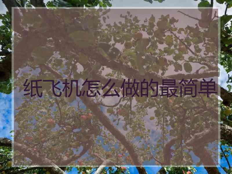 纸飞机怎么做的最简单