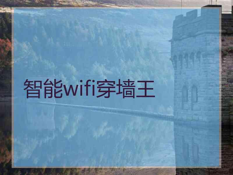 智能wifi穿墙王