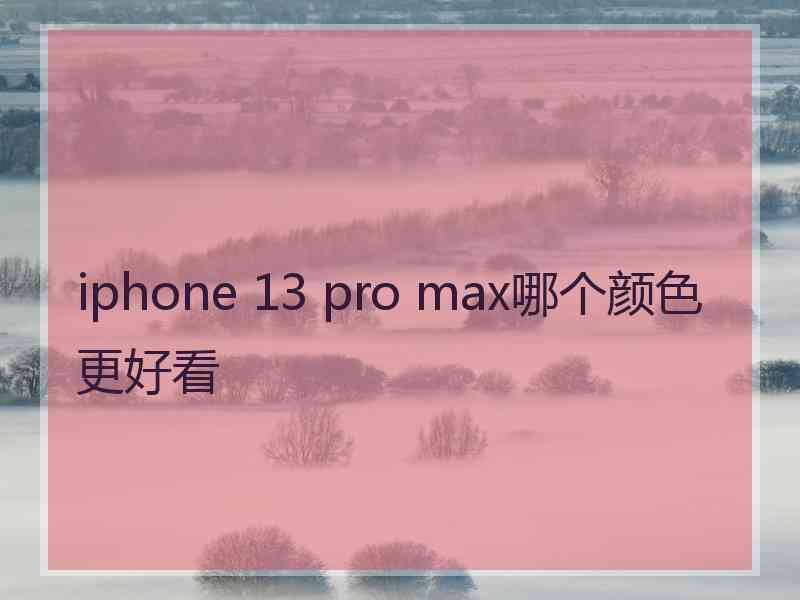 iphone 13 pro max哪个颜色更好看