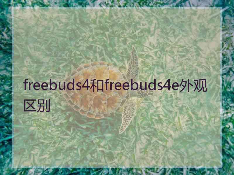 freebuds4和freebuds4e外观区别