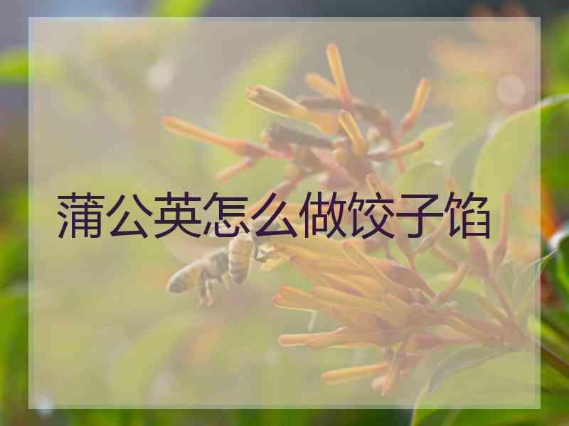 蒲公英怎么做饺子馅