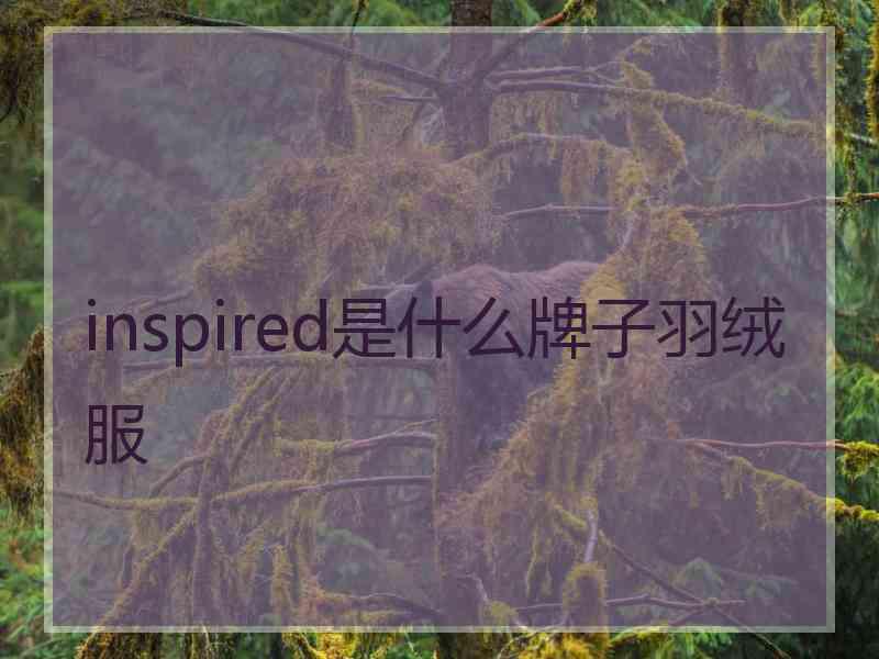 inspired是什么牌子羽绒服