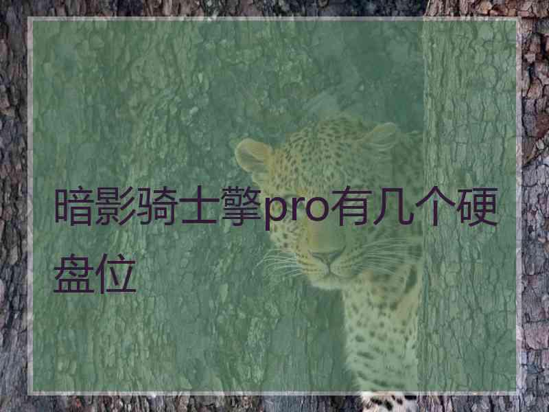 暗影骑士擎pro有几个硬盘位