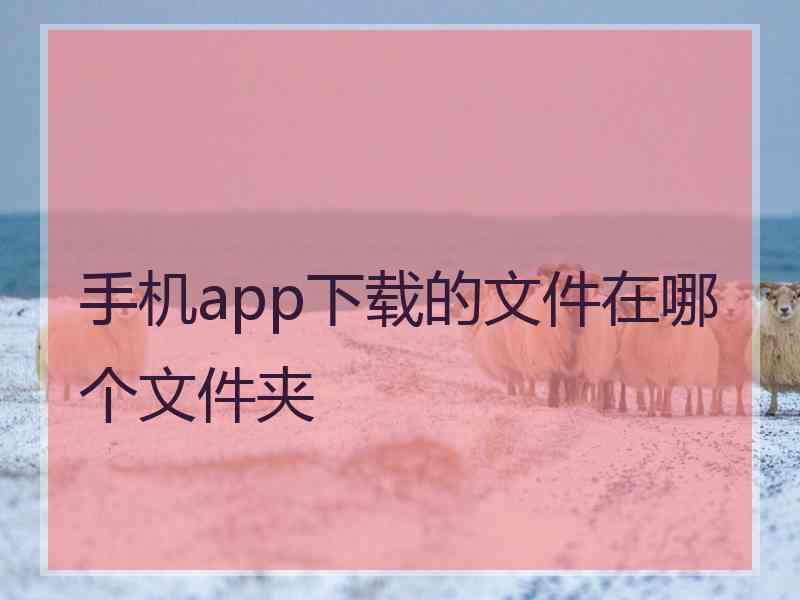 手机app下载的文件在哪个文件夹