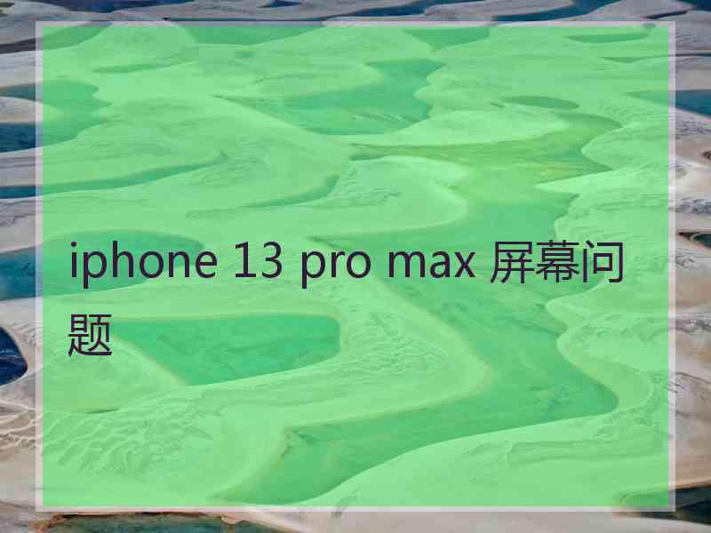 iphone 13 pro max 屏幕问题