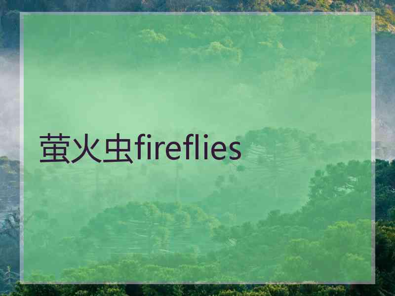 萤火虫fireflies