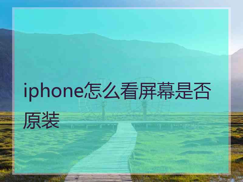 iphone怎么看屏幕是否原装