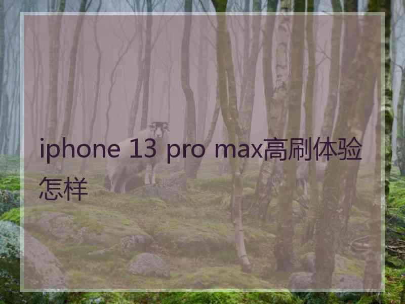 iphone 13 pro max高刷体验怎样