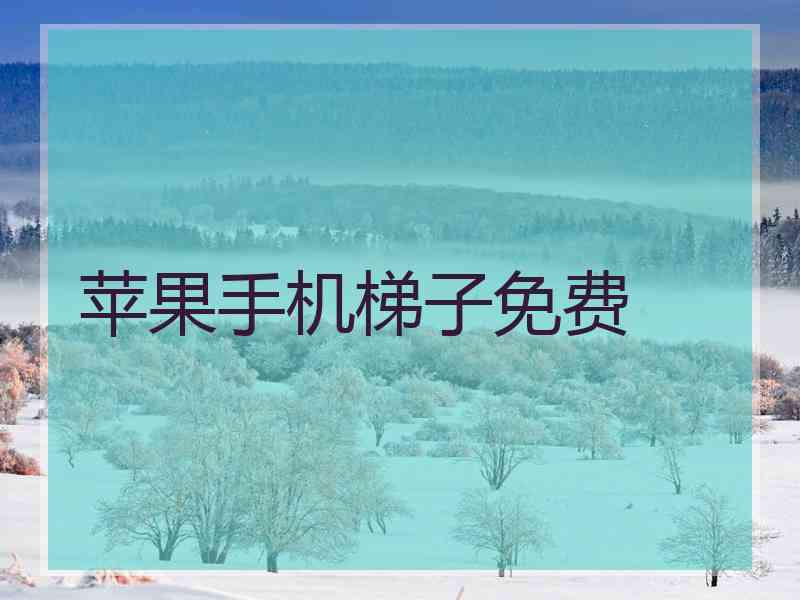 苹果手机梯子免费