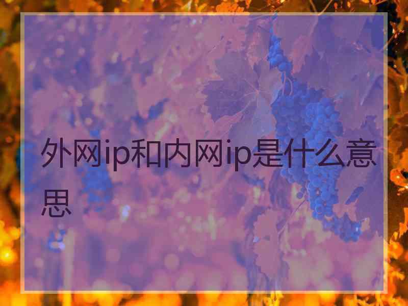 外网ip和内网ip是什么意思