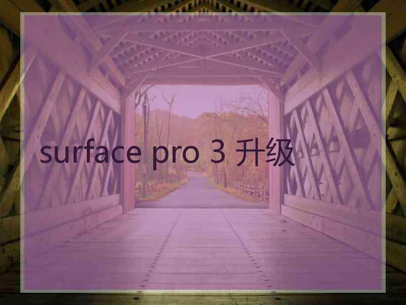 surface pro 3 升级