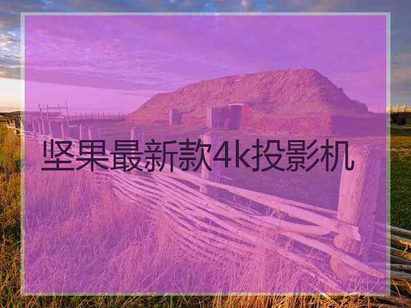 坚果最新款4k投影机