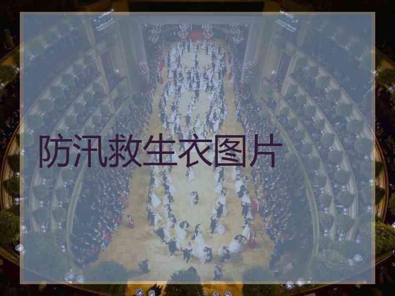 防汛救生衣图片