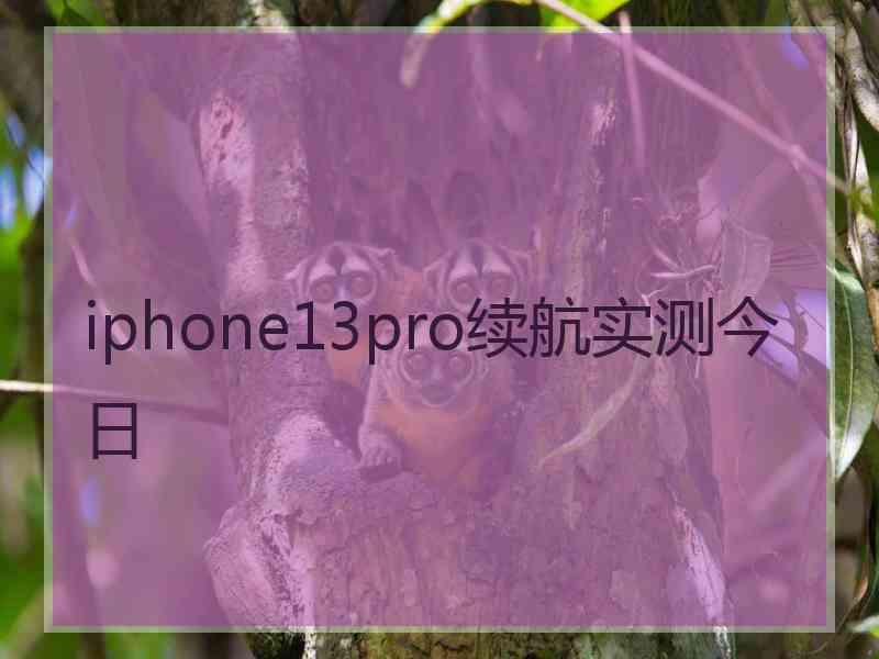 iphone13pro续航实测今日