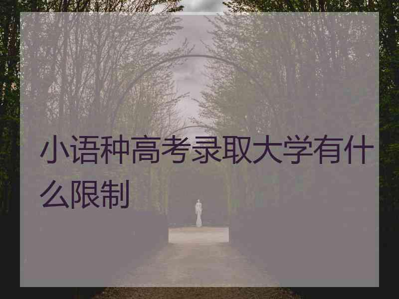 小语种高考录取大学有什么限制