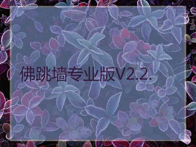 佛跳墙专业版V2.2.