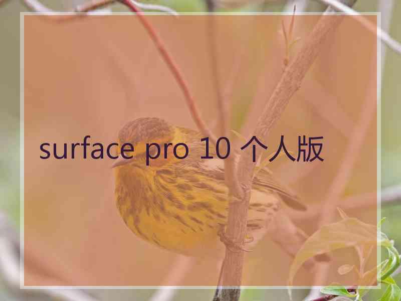 surface pro 10 个人版