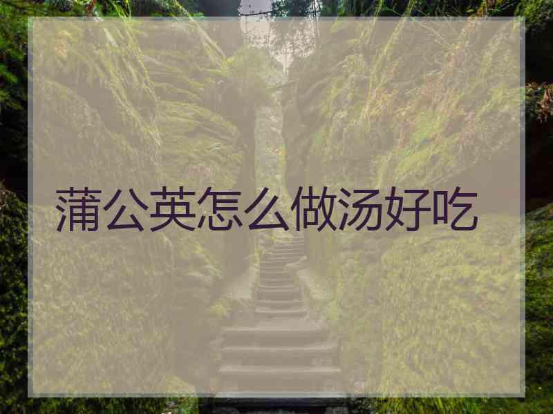 蒲公英怎么做汤好吃