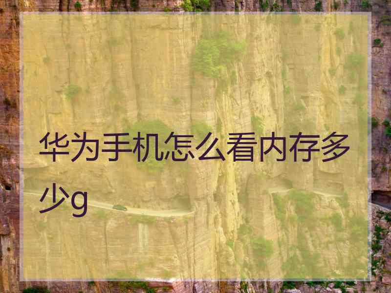 华为手机怎么看内存多少g