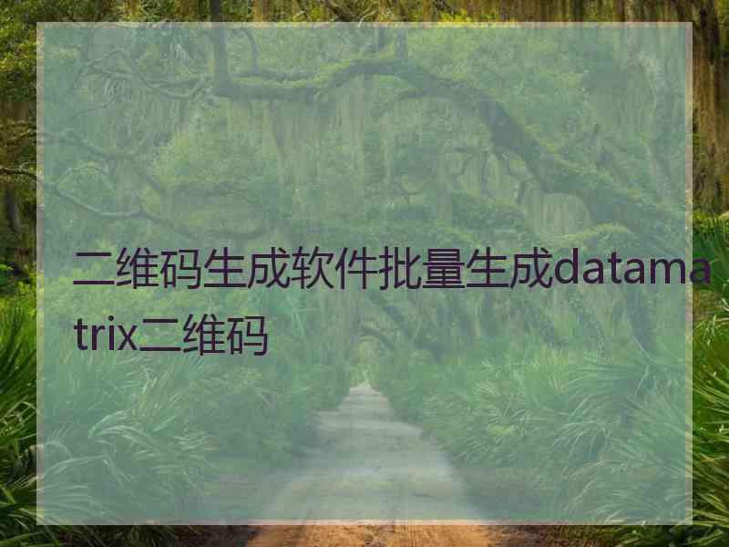 二维码生成软件批量生成datamatrix二维码