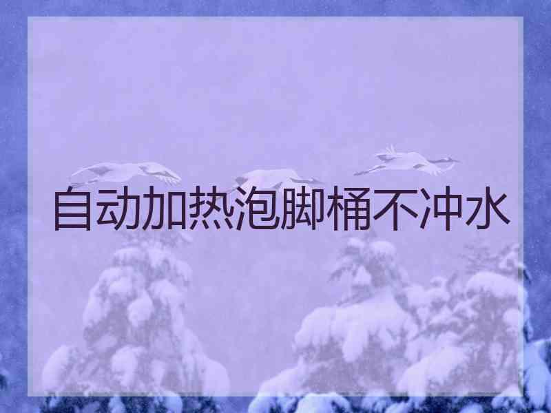 自动加热泡脚桶不冲水