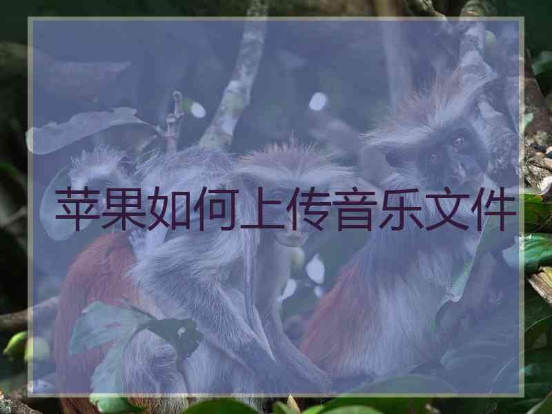 苹果如何上传音乐文件