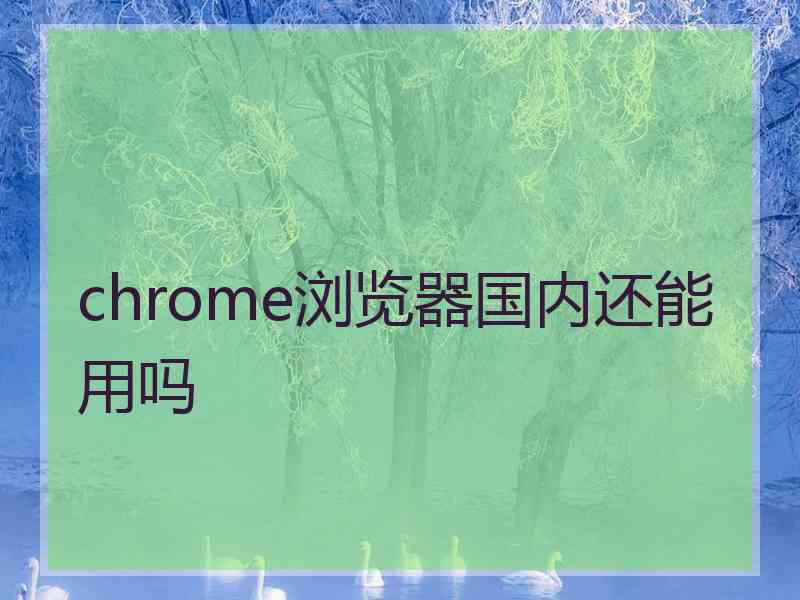 chrome浏览器国内还能用吗