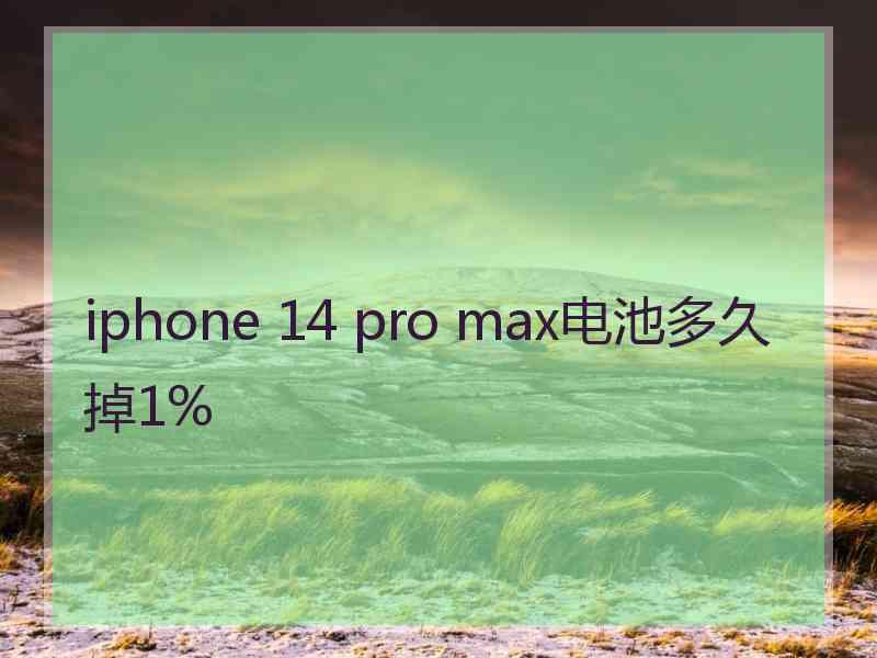 iphone 14 pro max电池多久掉1%