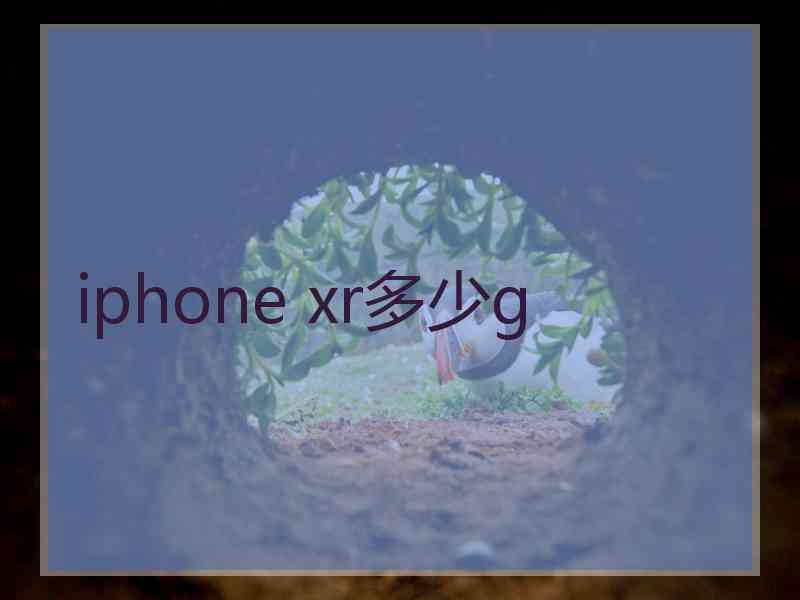 iphone xr多少g