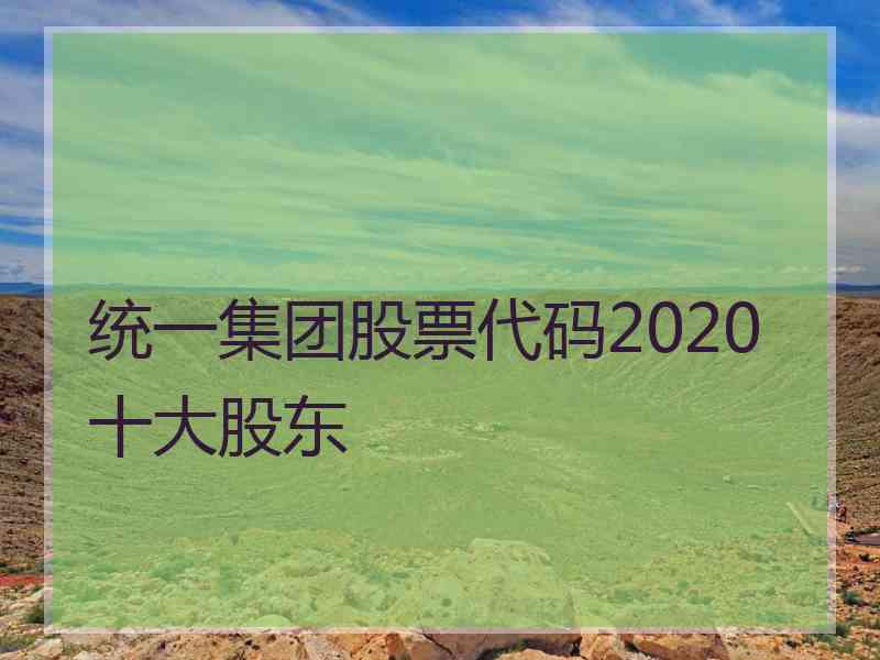 统一集团股票代码2020十大股东