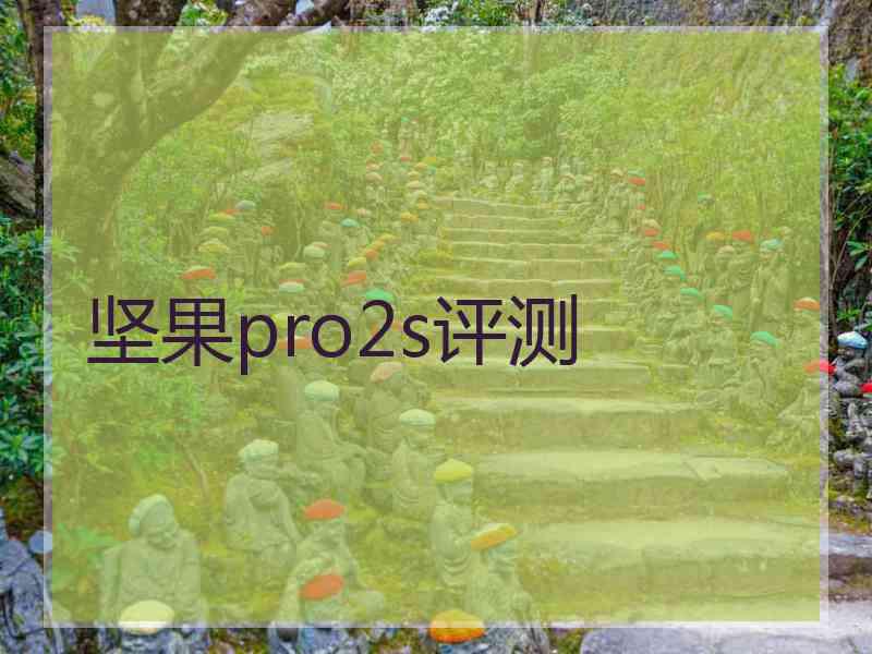 坚果pro2s评测