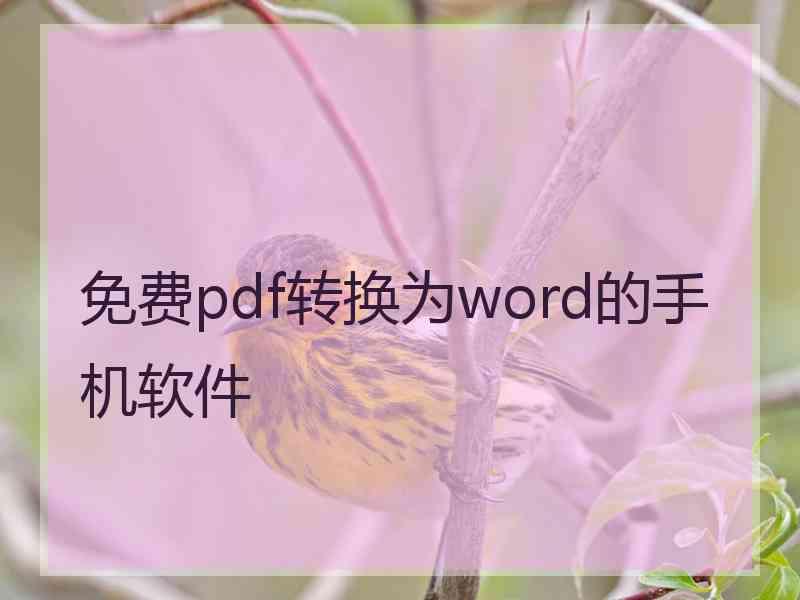 免费pdf转换为word的手机软件