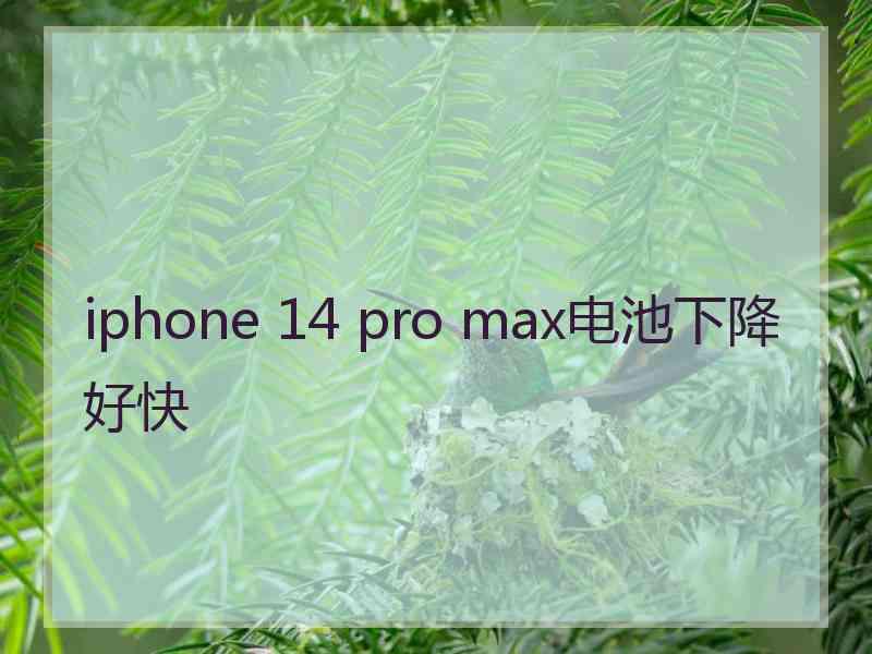 iphone 14 pro max电池下降好快