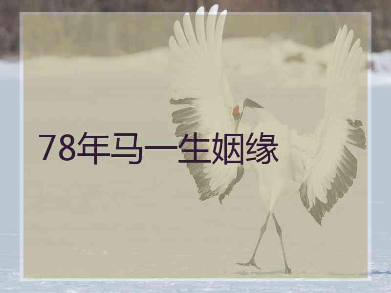 78年马一生姻缘