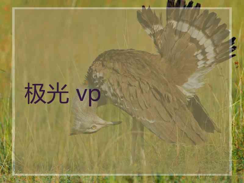 极光 vp