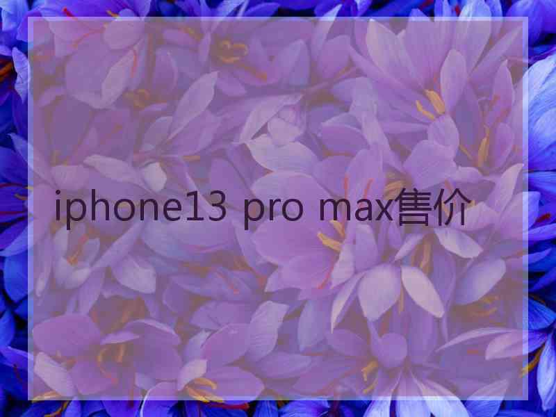 iphone13 pro max售价