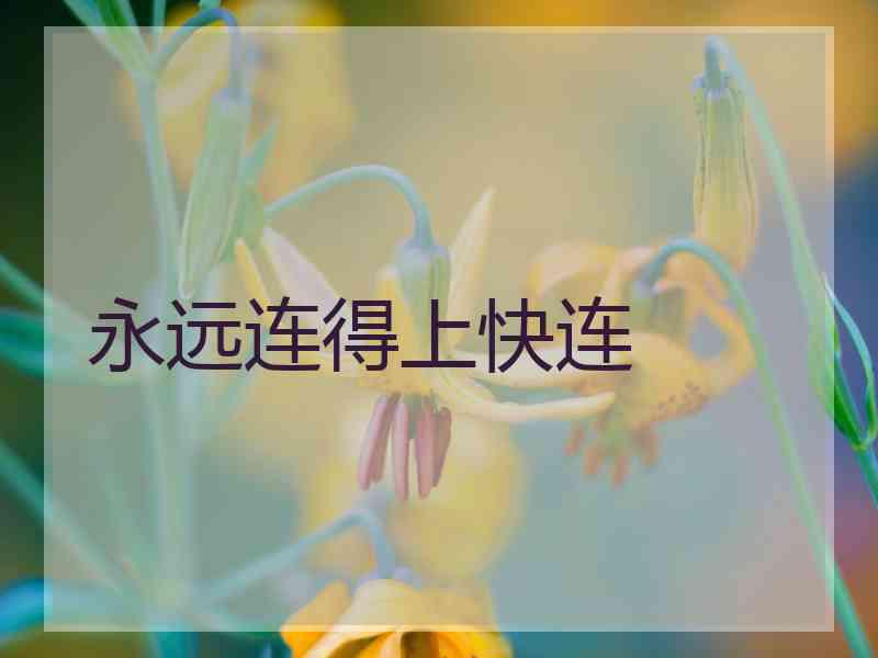 永远连得上快连