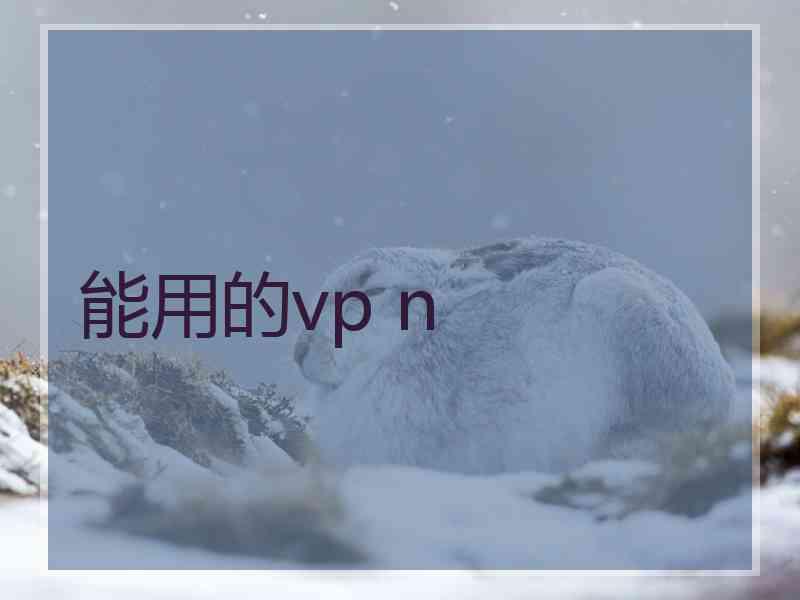 能用的vp n