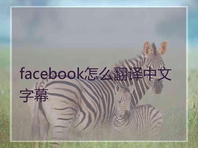 facebook怎么翻译中文字幕