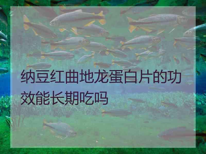 纳豆红曲地龙蛋白片的功效能长期吃吗