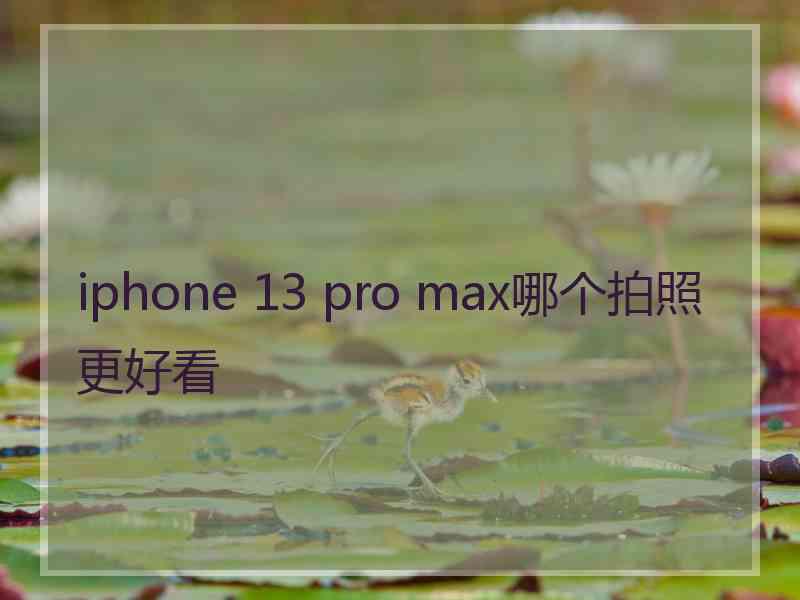 iphone 13 pro max哪个拍照更好看