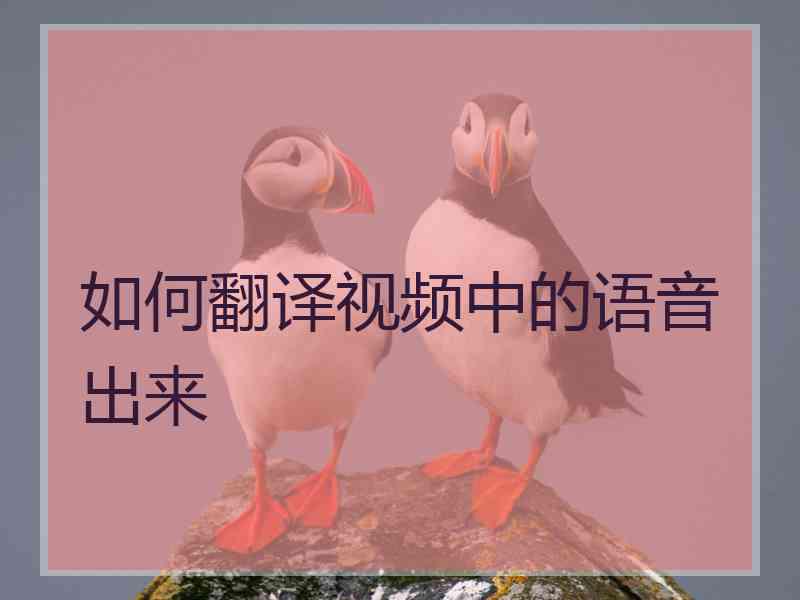 如何翻译视频中的语音出来