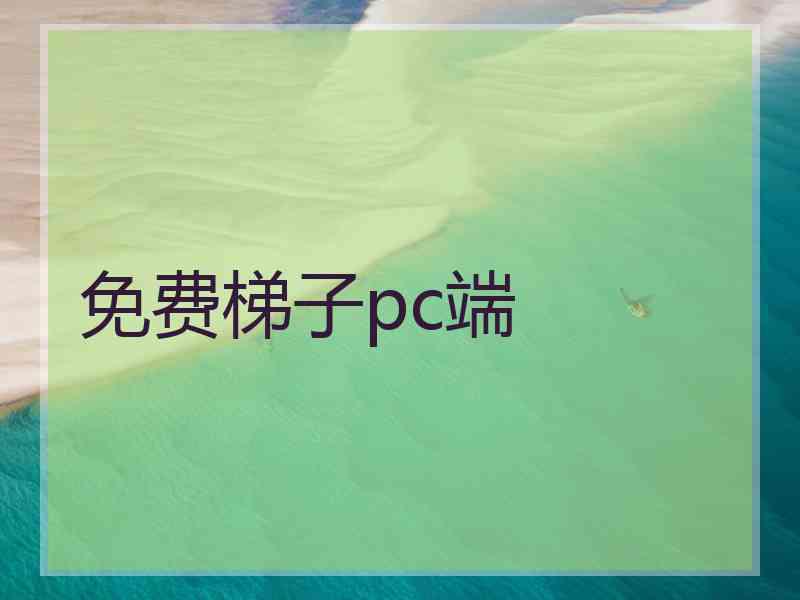 免费梯子pc端