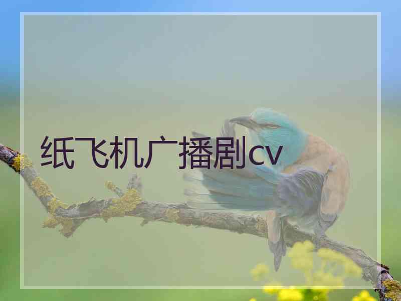 纸飞机广播剧cv