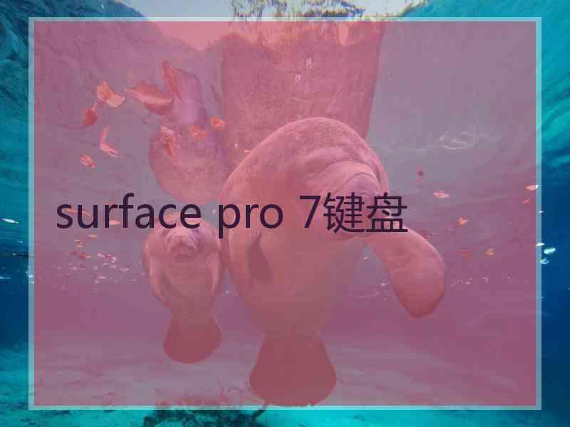 surface pro 7键盘