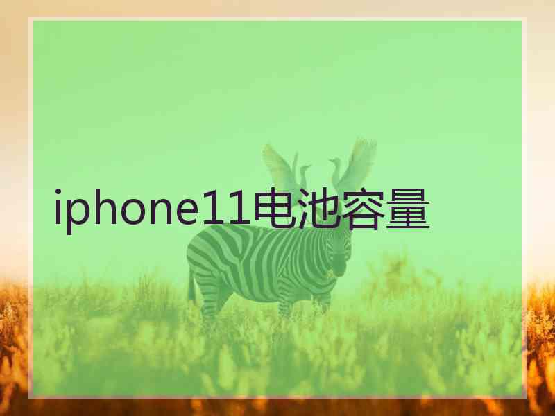 iphone11电池容量