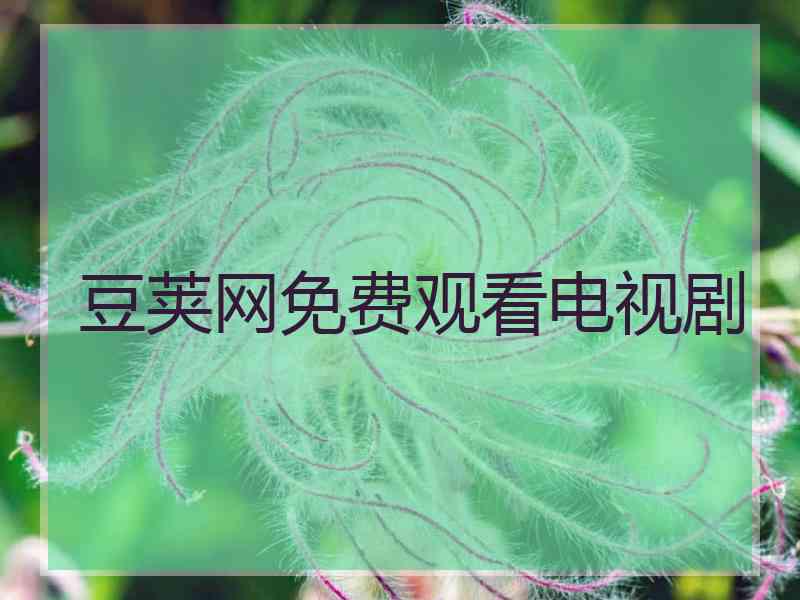 豆荚网免费观看电视剧