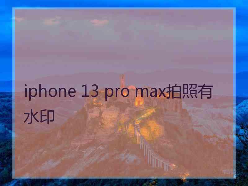 iphone 13 pro max拍照有水印